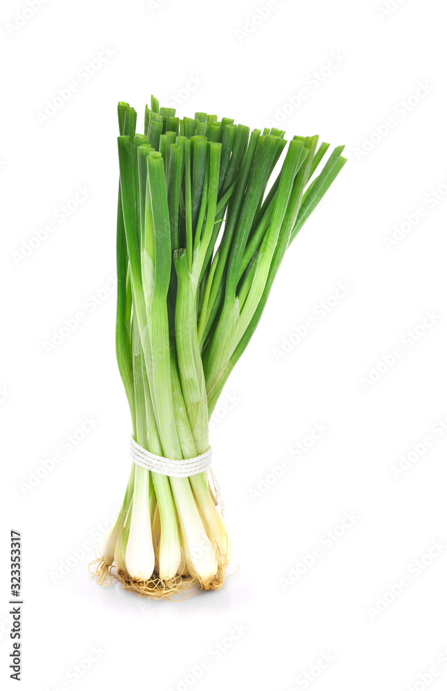 fresh green onions isolated on white background fresh green onions isolated on white background