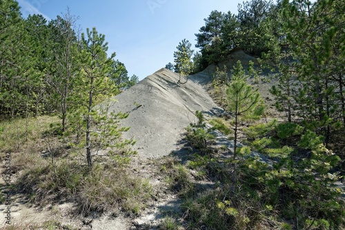 Kroatien - Istrien - Kras - Schiefersplitvorkommen photo