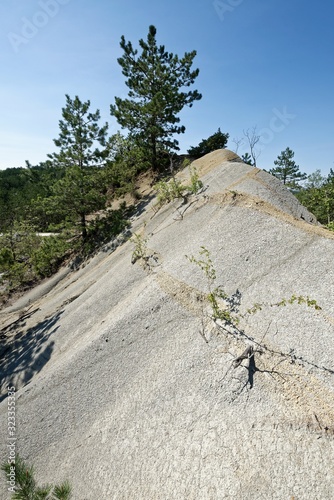 Kroatien - Istrien - Kras - Schiefersplitvorkommen photo