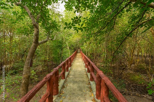 Mangrove Walk to the Khao Khanap Nam Cliffs in Krabi Thailand.