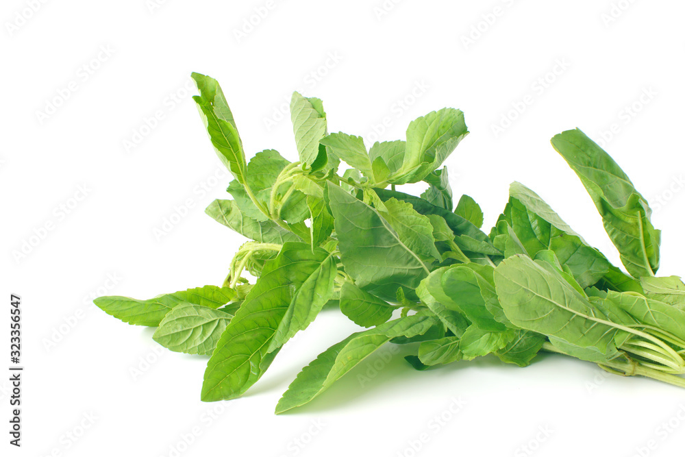 Ingredients of Thai food Basil Vegetable isolated on white background Ingredients of Thai food Basil Vegetable isolated on white background
