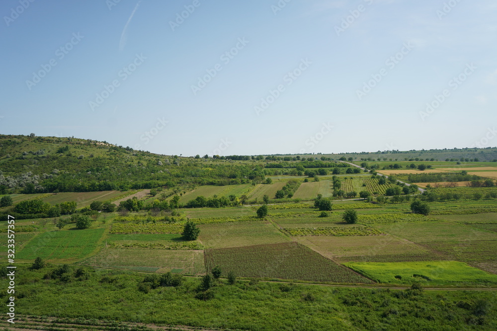 Peaceful Green Field in Moldova