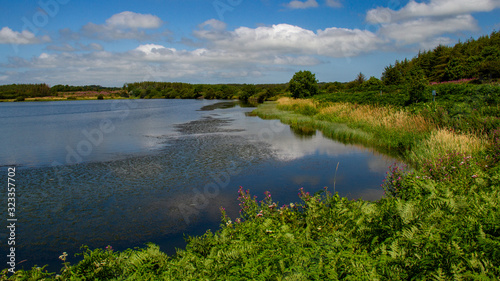 View of a lake and meadow in Wales