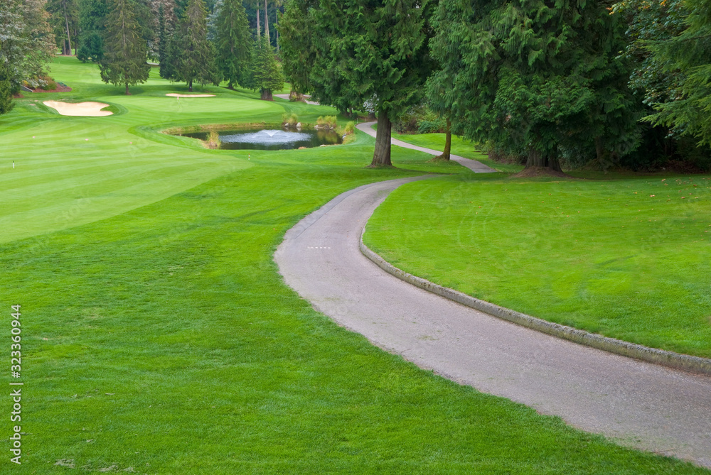 Golf place with gorgeous green, curved path and pond. Golf place with gorgeous green, curved path and pond.