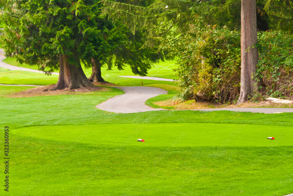 Fototapeta premium Pole golfowe z ładną zieloną i zakrzywioną ścieżką. Niewielka głębokość pola. Skoncentruj się na obszarze tee.