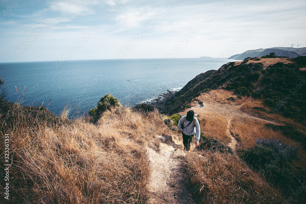 Woman hiking in New Zealand Wellington