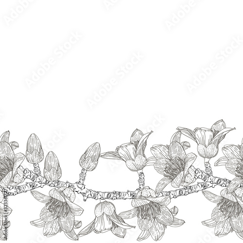 Canvas from flowers of Bombax ceiba