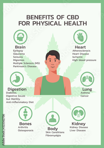 benefits of CBD for physical health, cannabis or Cannabidiol, hemp infographic information concept. flat  vector symbol icon illustration design
