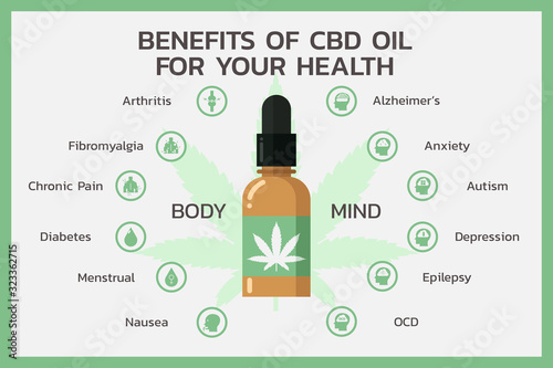 benefits of CBD oil for body and mind health or Cannabidiol, Cannabis infographic information concept, hemp. flat vector symbol icon illustration design