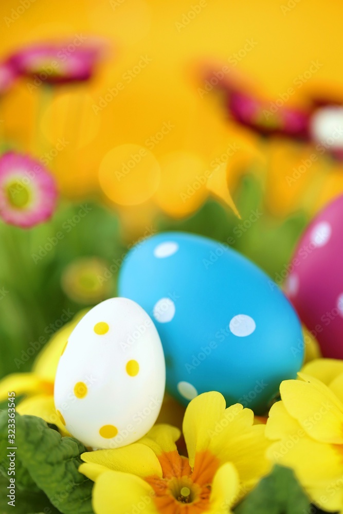 Easter holiday.Easter eggs and spring flowers. Decorative eggs set on yellow primrose flowers on bright orange  background.Spring festive religious background.