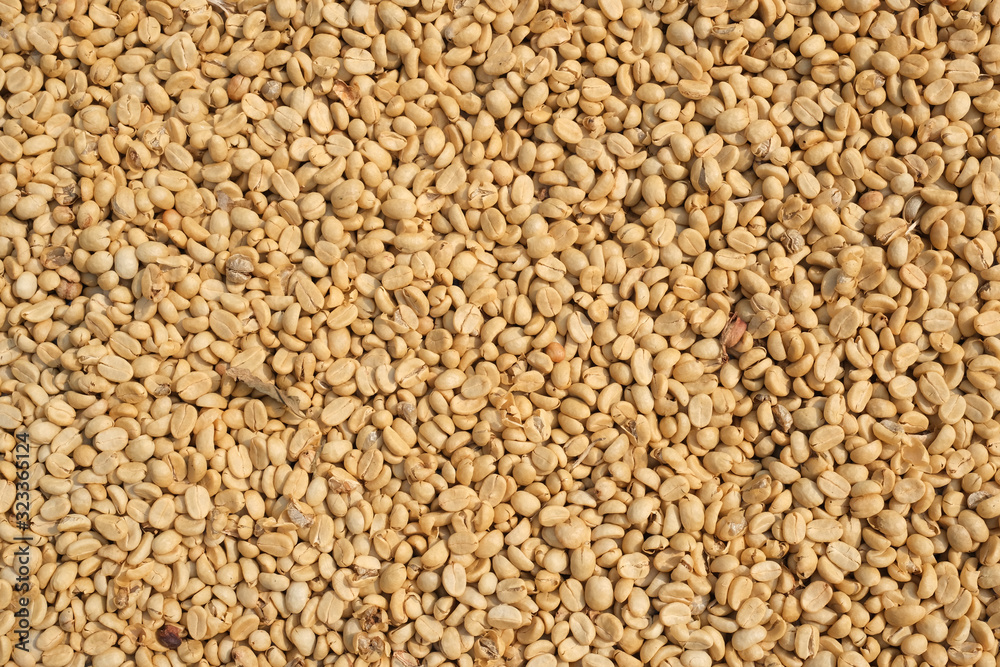 closeup unroasted green coffee beans background natural closeup unroasted green coffee beans background natural