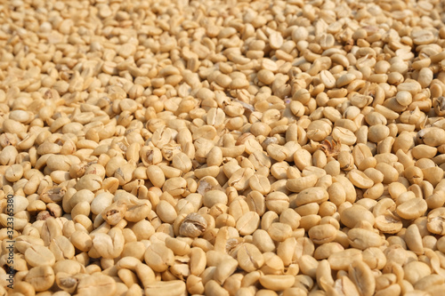 closeup unroasted green coffee beans natural