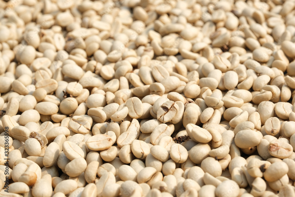 closeup unroasted green coffee beans