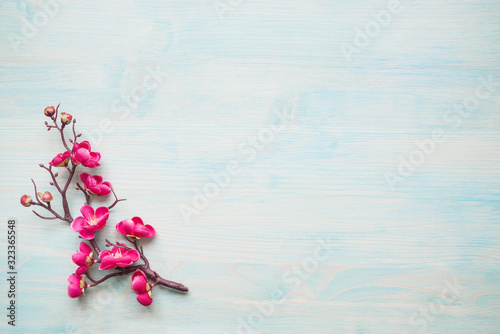 Pink spring flowers on blue...
