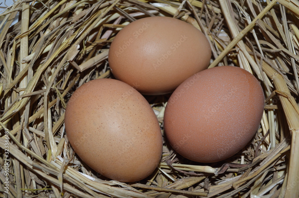 Three eggs in a nest. Close-up.Creamy fresh chicken eggs in a straw nest Three eggs in a nest. Close-up.Creamy fresh chicken eggs in a straw nest