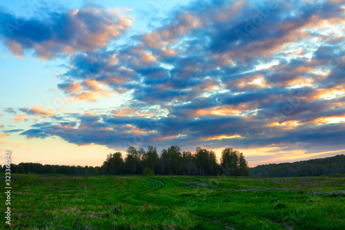 Evening Nature Landscape