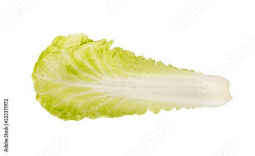 Fresh Green Leaf of Chinese Cabbage, Napa Cabbage or Wombok photo