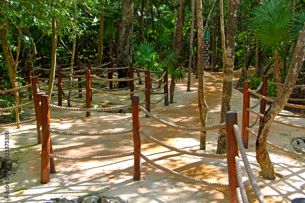 Fototapeta premium Nature