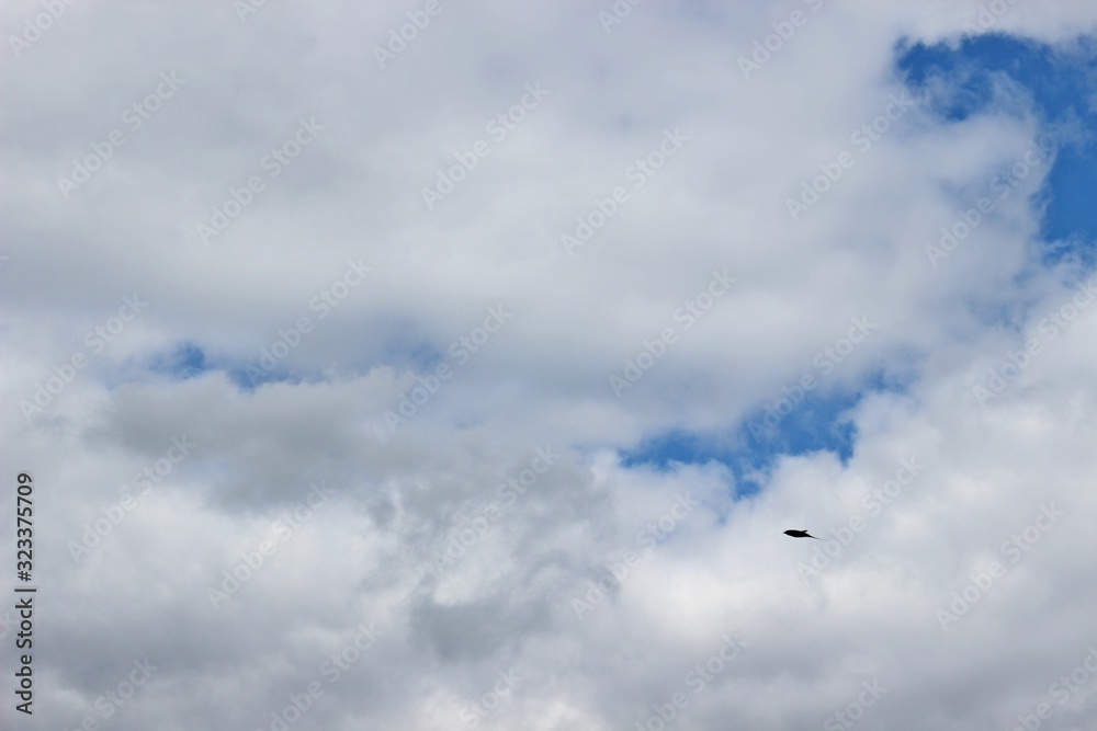 Beautiful blue sky, clouds summer sunny day