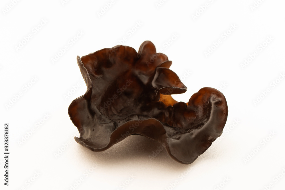 Wood ear mushroom on white background Wood ear mushroom on white background