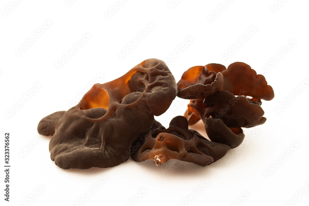 Obraz premium Wood ear mushroom on white background 