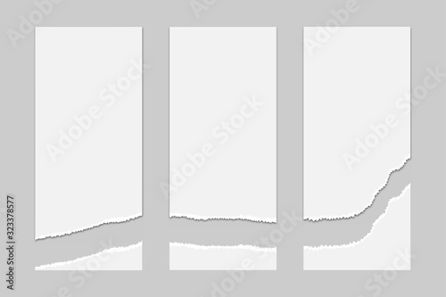 torn paper page mock up background vector