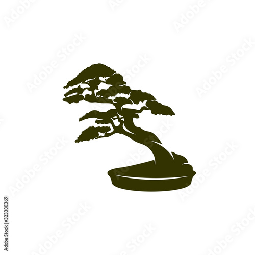 Bonsei logo vector design template, Silhouette Bonsei logo, Illustration