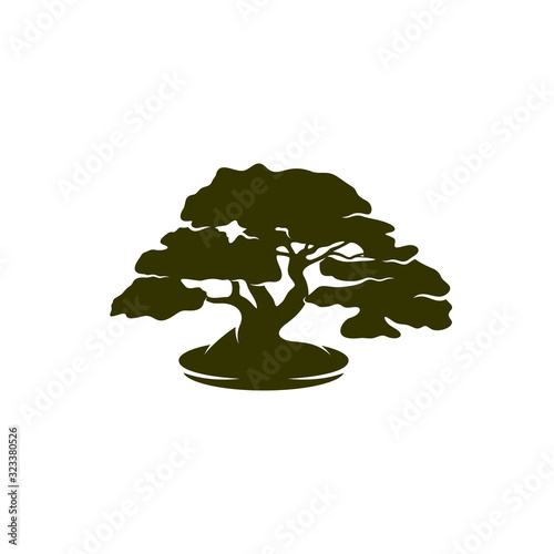 Bonsei logo vector design template, Silhouette Bonsei logo, Illustration