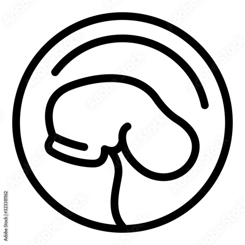 Baby embryo icon. Outline baby embryo vector icon for web design isolated on white background