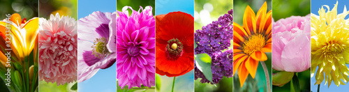 collage of various summer flowers
