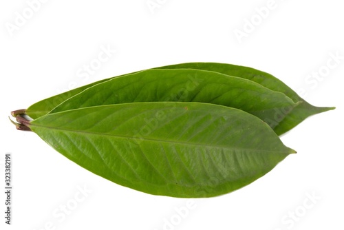 Fresh green water guava leaves isolated on a white background