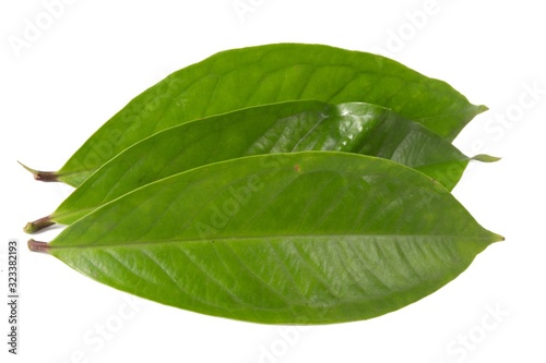 Fresh green water guava leaves isolated on a white background