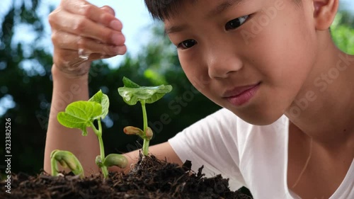 4k Slow motion close up young Asian boy give water to young seedling grow on black soil. Earthday concept