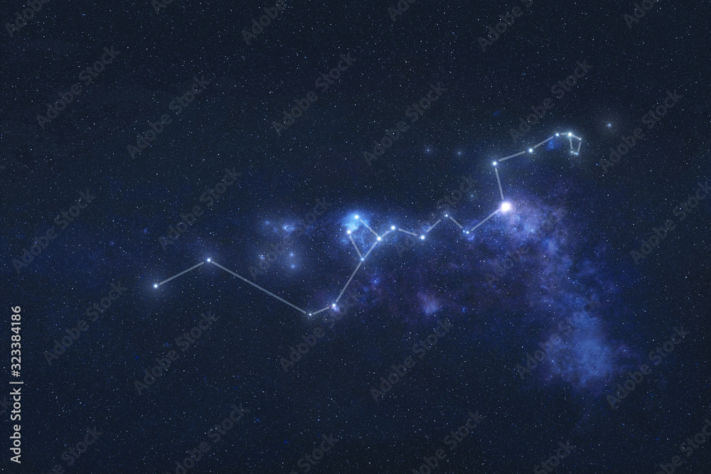 Hydra constellation stars in outer space. Hydra constellation lines. Elements of this image were furnished by NASA