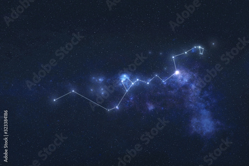 Hydra constellation stars in outer space. Hydra constellation lines. Elements of this image were furnished by NASA 