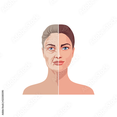 Female facial aging isolated on white background. Portrait of cartoon beautiful woman with half old wrinkle and young fresh skin face, neck and body vector graphic illustration