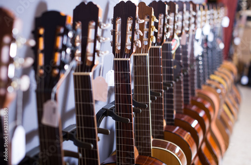 long line of acoustic guitars in store