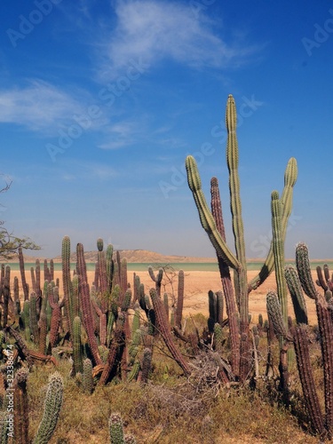 Péninsule Guajira