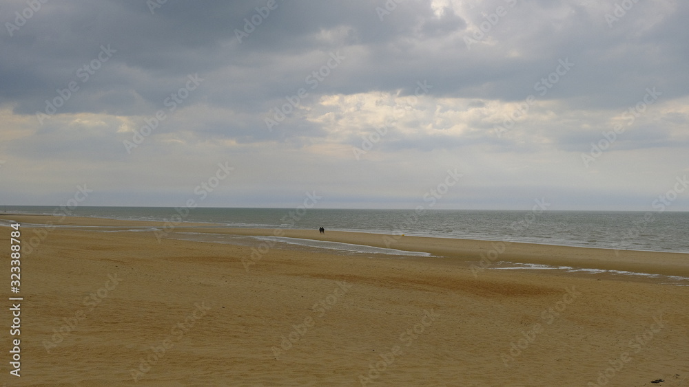 beach at sunset