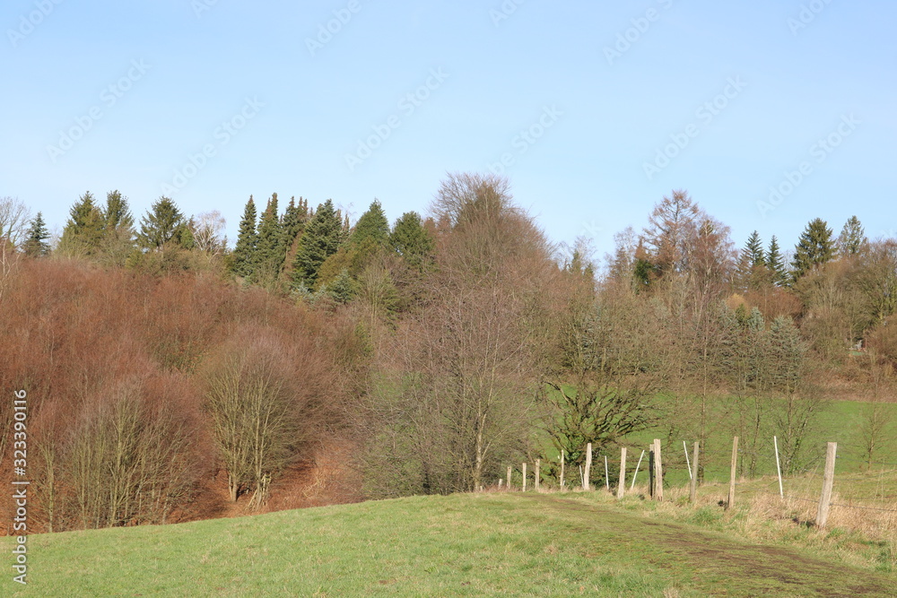 Naturlandschaft mit Weidezaun 