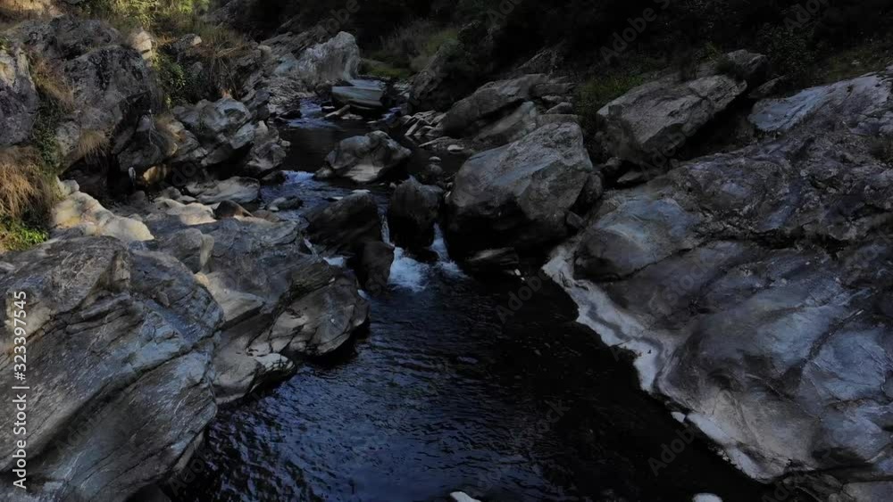 water stream flowing in the forest water stream flowing in the forest