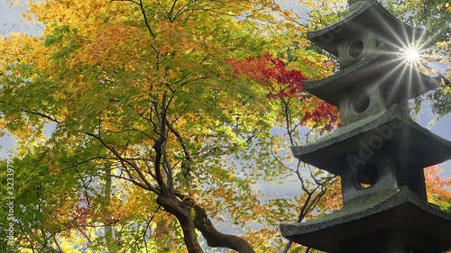 Kanazawa, Ishikawa, Japan fall season at Kenrokuen Gardens