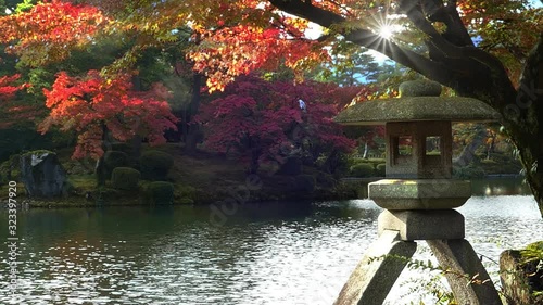 Kanazawa, Ishikawa, Japan fall season at Kenrokuen Gardens