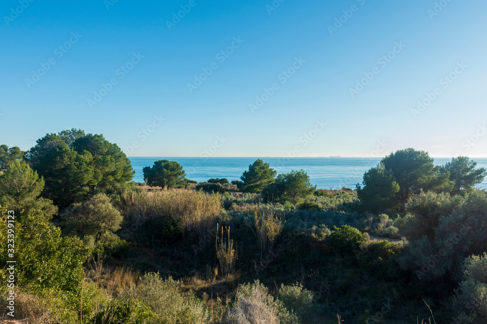 The green road from Oropesa to Benicassim, Costa Azahar