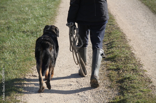 Beauceron shepherd dog on a leash and trainer