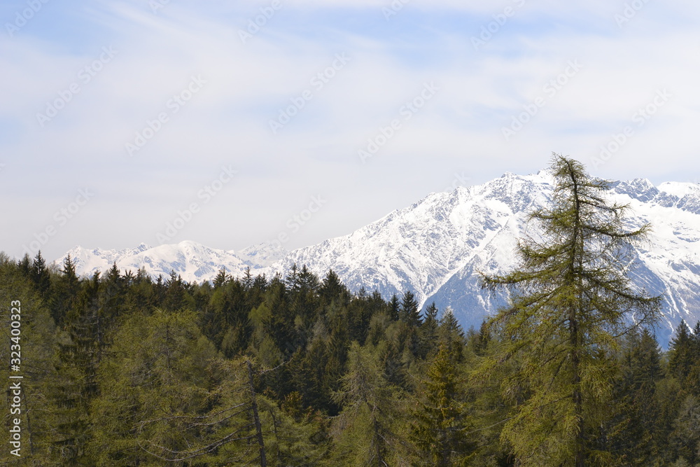 Spring Alpine ascent in Merano
