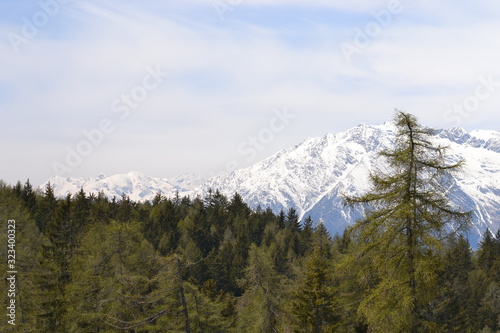 Fototapeta Naklejka Na Ścianę i Meble -  Spring Alpine ascent in Merano