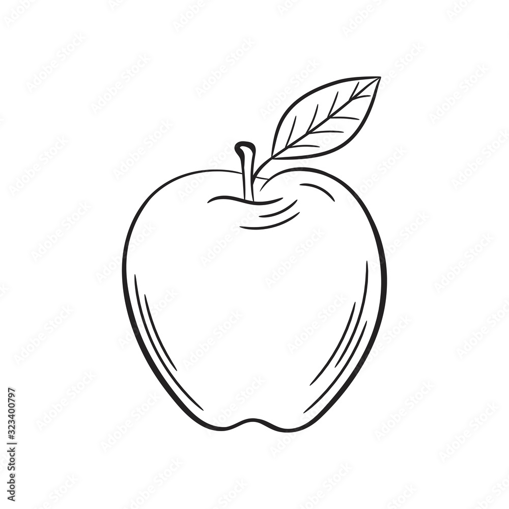 Apple sketch. Hand drawn fruit illustration. Apple sketch. Hand drawn fruit illustration.