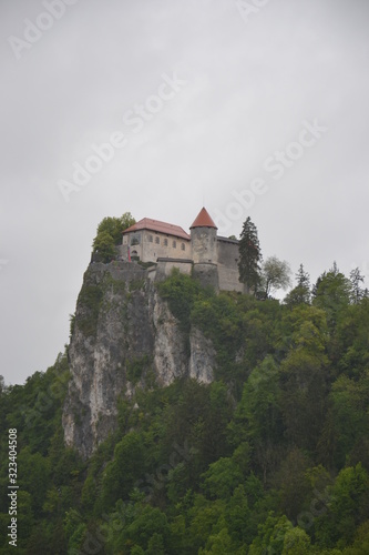 Various beauties of lake Bled