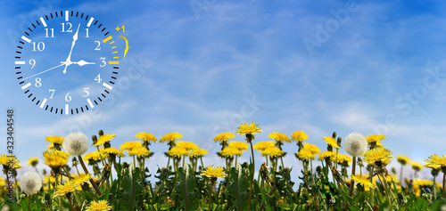 Summer Daylight Saving Time (DST). Blue sky with yellow dandelions. Turn time forward (+1h).